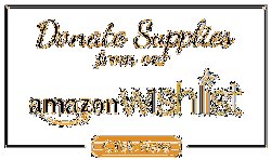 FCA Ft. Worth Amazon Wishlist